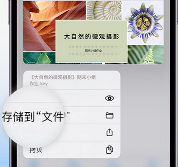 德阳apple维修中心分享iPhone文件应用中存储和找到下载文件