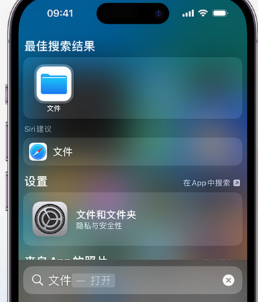 德阳apple维修中心分享iPhone文件应用中存储和找到下载文件