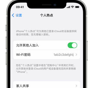 德阳apple服务站点分享iPhone上个人热点丢失了怎么办 