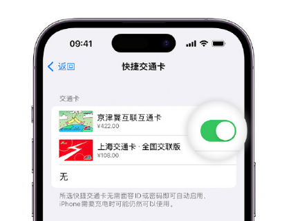 德阳apple维修点分享iPhone上更换Apple Pay快捷交通卡手绘卡面 