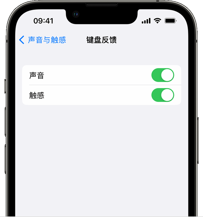 德阳苹果14维修店分享如何在 iPhone 14 机型中使用触感键盘 