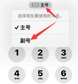 德阳苹果14维修店分享iPhone 14 Pro Max使用副卡打电话的方法 