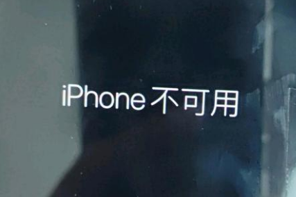 德阳苹果服务网点分享锁屏界面显示“iPhone 不可用”如何解决 