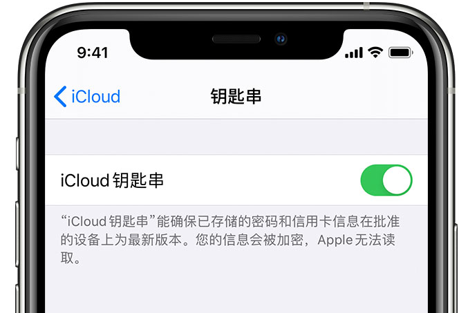 德阳苹果手机维修分享在 iPhone 上开启 iCloud 钥匙串之后会储存哪些信息 