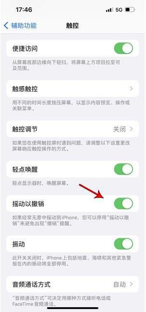 德阳苹果手机维修分享iPhone手机如何设置摇一摇删除文字 