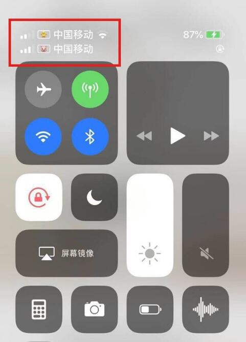 德阳苹果手机维修分享为 iPhone 12 双卡设置标签 